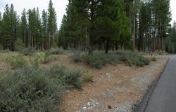 762 Redtail Loop lot: 48, Clio, CA 96106