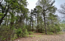 486 Mallard Roost, Sumter, SC 29150