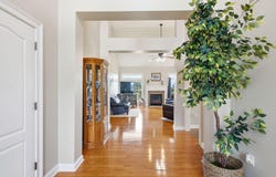 133 Levee Lane, Hodgenville, KY 42748