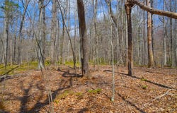 0 TBD Duffey Lane, Stuart, VA 24171