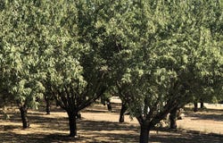 W Marinette Avenue, Exeter, CA 93221