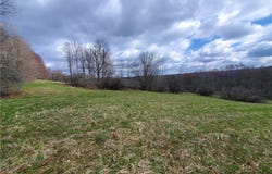 Lot 3 Goddards Road, New Lisbon, NY 13810