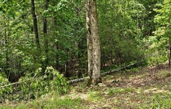 2.71 Ac Ridgeline Road, Murphy, NC 28906