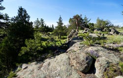 TBD County Road 82 E, Livermore, CO 80536