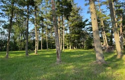 Xxxxx 299th Place, Aitkin, MN 56431