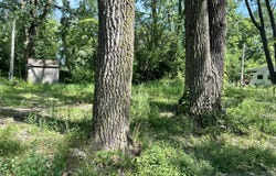 7049 E Maple Bend Court, Monticello, IN 47960