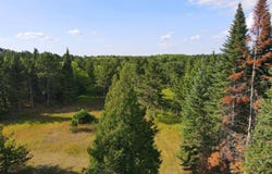 Abc East River Drive, Park Rapids, MN 56470