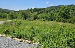 Tract 2 Forest Hill Drive, Rose Hill, VA 24281
