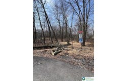 223 Tapuco Drive, Penn Forest Twp, PA 18210