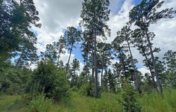 TBD TX-204, Cushing, TX 75760