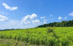 279 Kersmanc Road, Decatur, NY 12197
