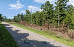 COUNTY ROAD 87 lot: 2, ROANOKE, AL 36274