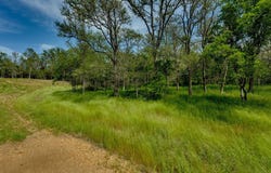 111 Hauula CT, Bastrop, TX 78602