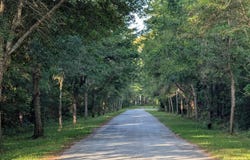 1044 Towhee Lane, McClellanville, SC 29458
