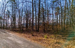0 Old Harris Turnpike Road, South Pittsburg, TN 37380