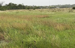 203 NW 16th Avenue, Amarillo, TX 79101