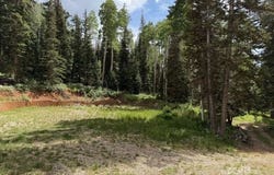786 N 800 W, Brian Head, UT 84719