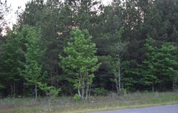 #1 Ryans Way, Minden, LA 71055