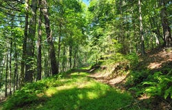 Tbd Riverwood Ln, Fries, VA 24330