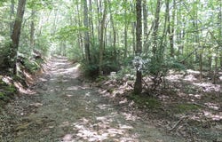 Peach Bottom Road lot: 0, Independence, VA 24348
