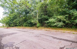 Downs Brook Dr lot: 13, Roanoke Rapids, NC 27870