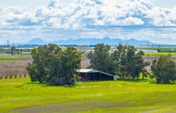 TBD Road 48 Road B, Willows, CA 95988