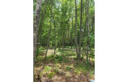 211 PARK AVENUE, MOODY, AL 35004