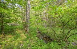 L22.22 Mud Rd, Laurens, NY 13825
