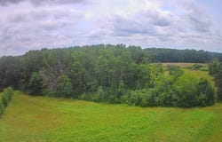 1200 Co Rd 67, Lexington, AL 35648