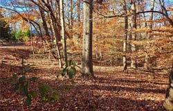 Bertha Allen Road lot: 1&2, Westminster, SC 29693