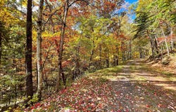 0 BASSWOOD, MOUNT JACKSON, VA 22842