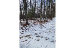 Lot 897 Pico Lane, Tafton, PA 18464