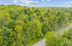 Lot 7B Blackman Hill Road, Caroline, NY 13736
