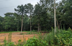 248 N Norris St, Jamestown, TN 38556
