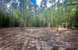 0000 CO RD 54, PARCEL #4, Haleyville, AL 35565