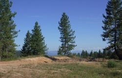 Lot 3 Moose Ridge Way, Loon Lake, WA 99148