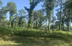 Ben Bostick, Quincy, FL 32351