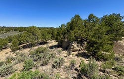 163 CR 402, Lindrith, NM 87029