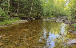 Lot 1 Off Hwy M-64, Ontonagon, MI 49953