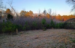 COMERDALE ROAD lot: 00, SYLACAUGA, AL 35150