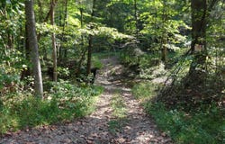 0 south County Road 150 W, Paoli, IN 47454