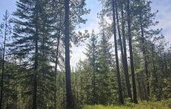 XXX HWY 395, LOON LAKE, WA 99148