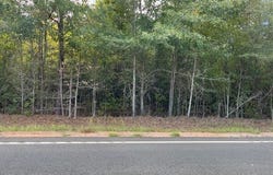 Tbd Bloomville Road, Manning, SC 29102