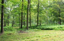 0 SR 258, Liberty Twp, PA 16127