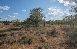 Fredonia, TX 76842