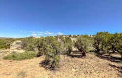 1530 VISTA HERMOSA Trail, Farmington, NM 87401