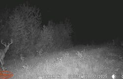 Tract 1 FM 114, DeKalb, TX 75559