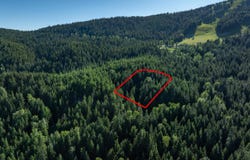 N Mt Spokane Park Dr, Mead, WA 99021