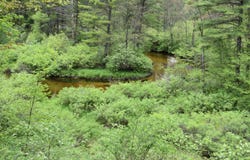 00 S Ever Blooming Drive, Baldwin, MI 49304