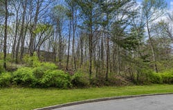 0 Hendrix Dr, Oak Ridge, TN 37830